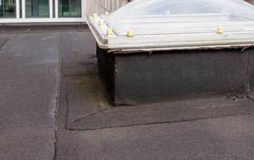 disadvantages of Fauls flat roofs