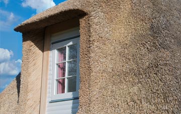Fauls thatch roof disadvantages